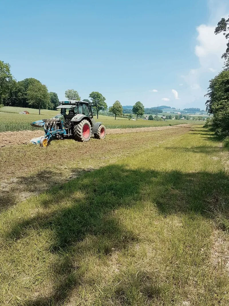 Jahrelang hatte er die Fläche gepflegt und Unkraut bekämpft. Den Wiesenumbruch hat der Freiburger festgehalten.