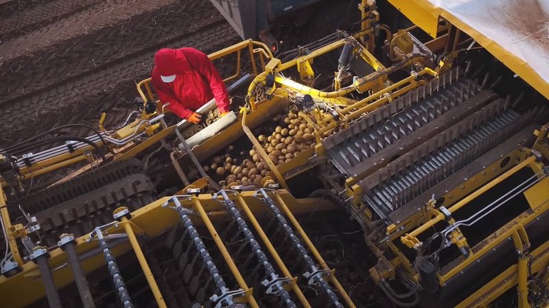 Der Kartoffelroder «Keiler» erhält einige wichtige Neuerungen