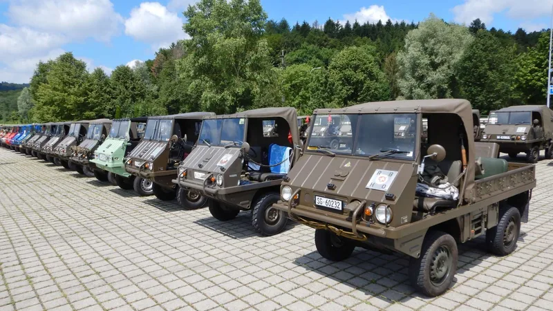 Eine Reihe von Haflinger-Geländewagen beim Haflinger-Treffen 2019.