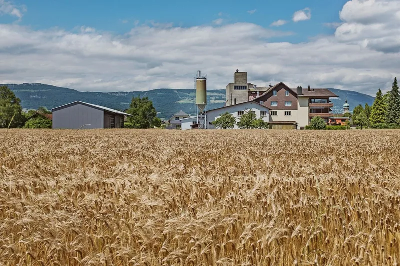 Die Kofmel-Mühle in Deitingen, in der vierten Generation im Besitz der Familie, wird heute von den Brüdern Christian und Daniel Kofmel geleitet.