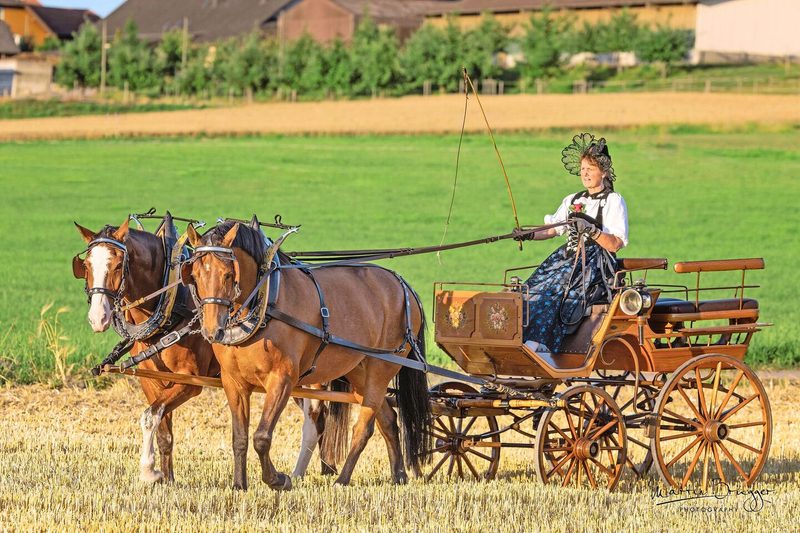 Die Zügel fest in der Hand und stilecht zum fahrbaren Untersatz bekleidet – so tankt Pia Spiegl Kraft.