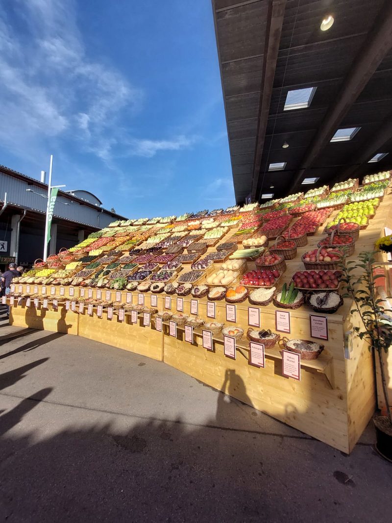 Olma-Besucher(innen) bevorzugten nicht den typischen Schweizer Lieblingsapfel