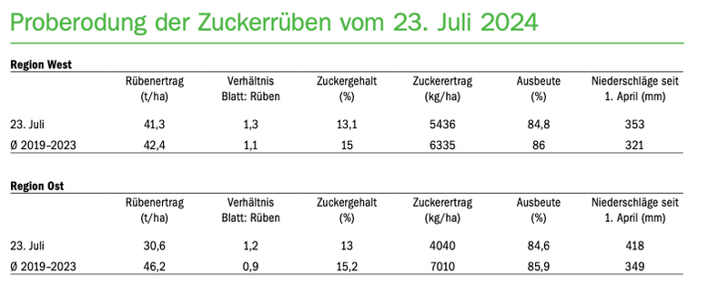 Zuckerrüben: Klare Ertragsunterschiede zwischen Ost und West