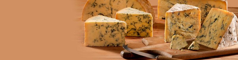 Die Long Clawson Dairy produziert Schimmelkäse für die Festtage