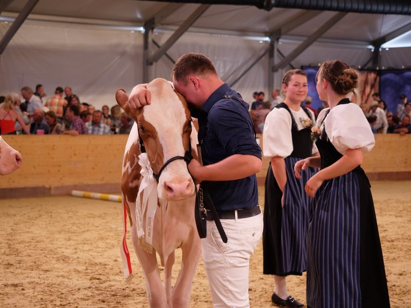 Eine königliche Hoheit wird Miss BEA