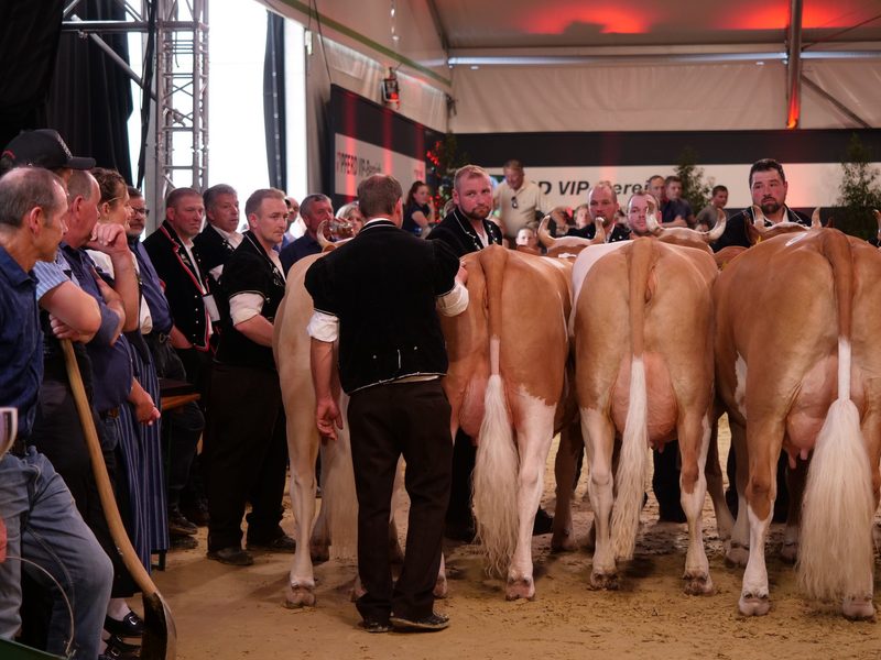 Eine königliche Hoheit wird Miss BEA