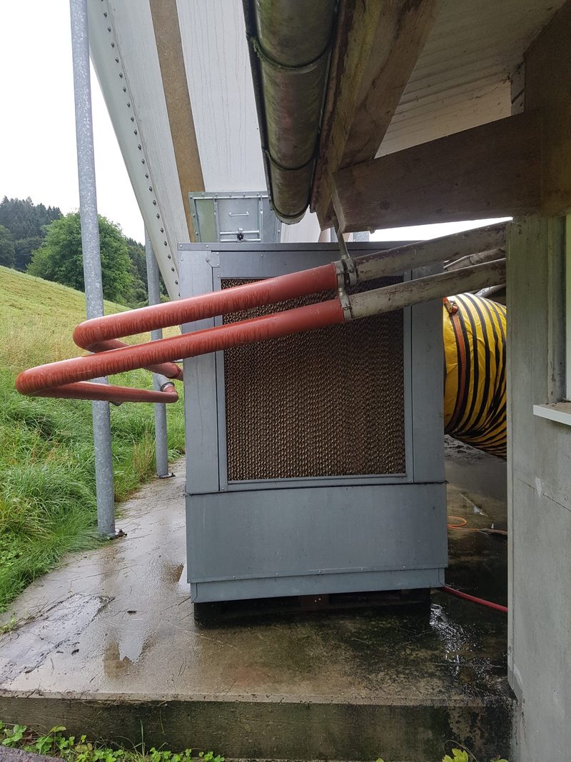 Eine kühle Brise im Stall hilft gegen die Hitze