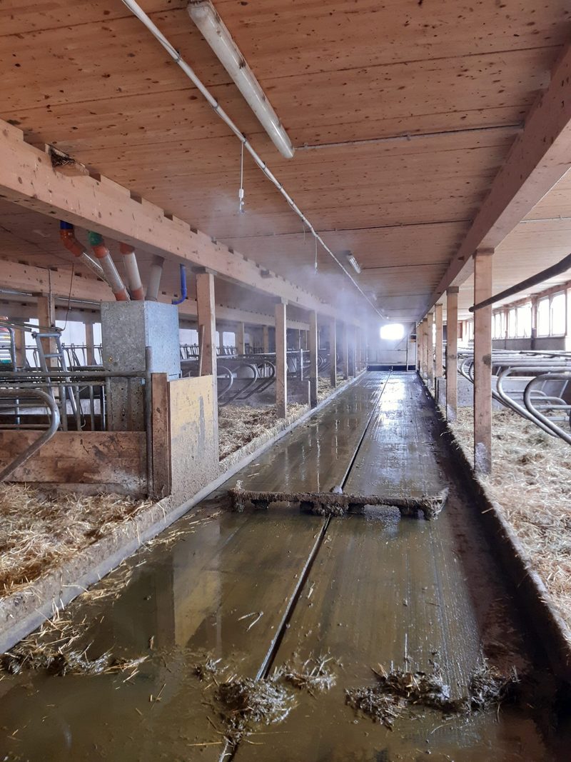 Eine kühle Brise im Stall hilft gegen die Hitze