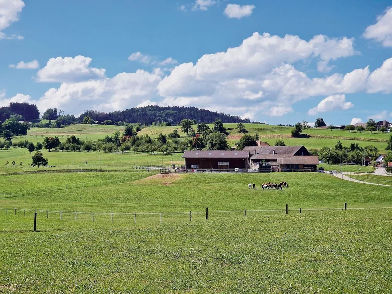 Der idyllisch gelegene Hof der Familie Kuster im Thurgau beherbergt 65 Pferde.