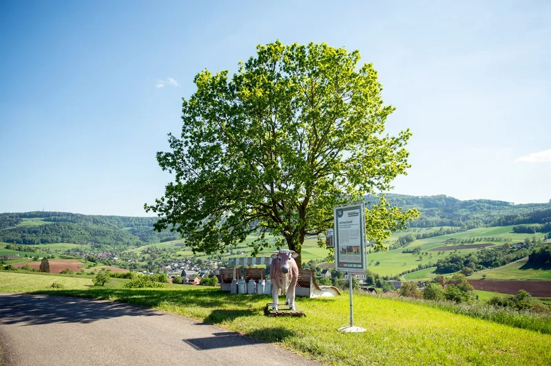Erlebbare Landwirtschaft