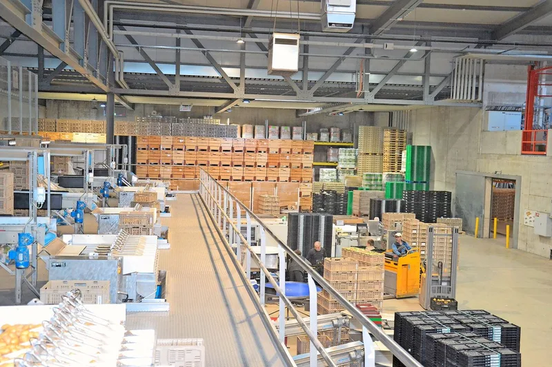 Links im Bild sind die Abpackstrassen zu sehen, rechts werden eine Ebene weiter unten die fertigen Säcke weitertransportiert.