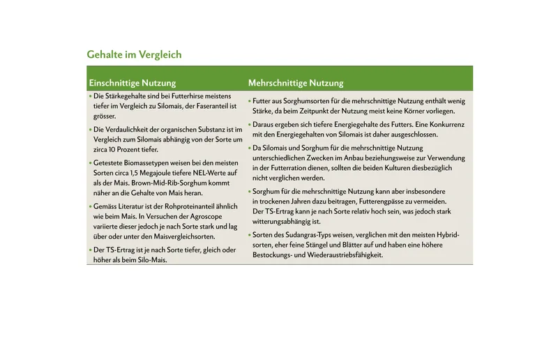 Alleskönner Sorghum?