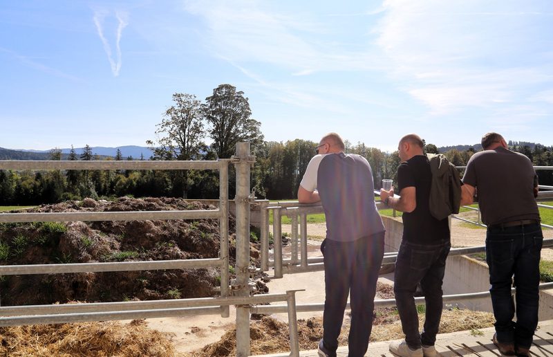 Schweizer Landwirtschaft als Vorbild für Georgien
