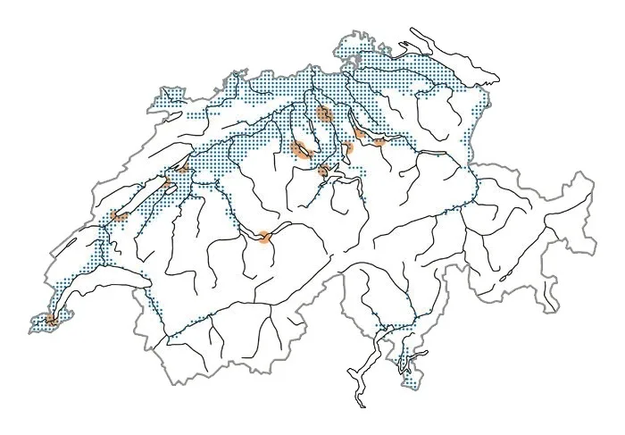 Welche Vögel ausser Raben sonst noch Schwierigkeiten machen können