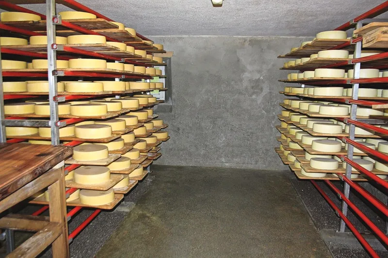 Qualitativ hochstehende Produkte wie Alpkäse müssen strategisch gut vermarktet werden, ansonsten bleibt das Milchgeld im Käsekeller liegen.
