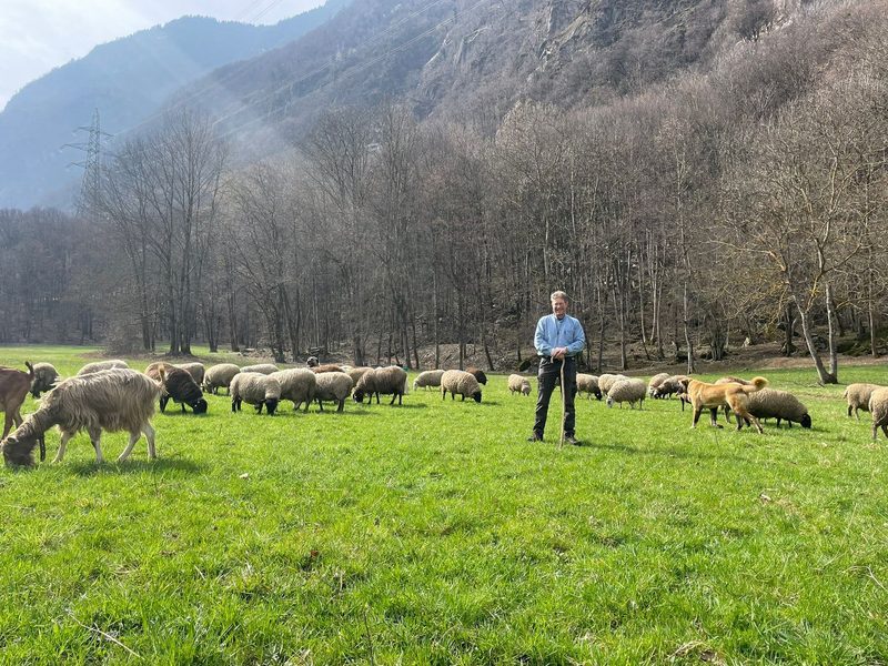 Der Bündner Biobauer Alberto Stern fand seine Leidenschaft für Schafe beim Westernreiten