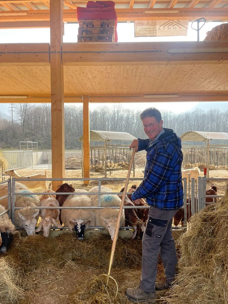 Der Bündner Biobauer Alberto Stern fand seine Leidenschaft für Schafe beim Westernreiten