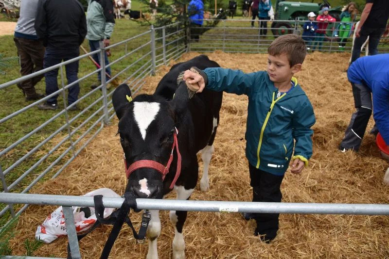 Schöne Kühe, wilde Kälber und fleissige Kinder zur Jubiläumsfeier