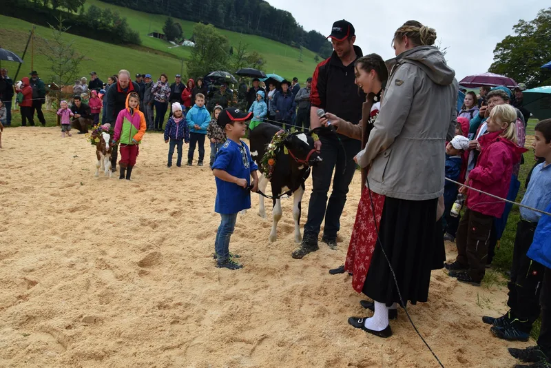 Schöne Kühe, wilde Kälber und fleissige Kinder zur Jubiläumsfeier
