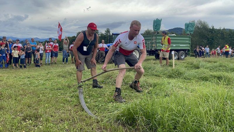 Vier Schweizer Podestplätze bei der Europameisterschaft im Handmähen in Slowenien