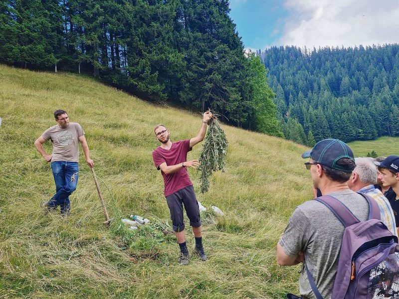 Marco Odermatt gab Tipps zur Unkrautbekämpfung auf Alpen.