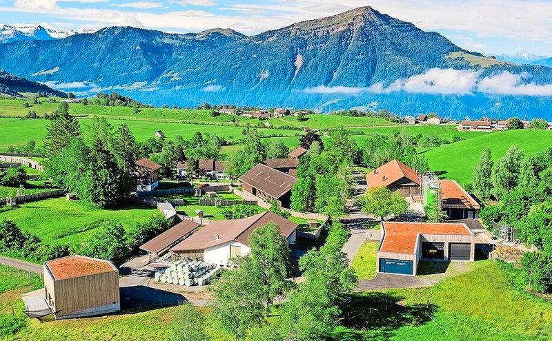 Der Hof Früebüel liegt auf rund 1000 m ü. M. und umfasst total 60 Hektaren Fläche, wovon 32 Hektaren normales Wiesland sind.