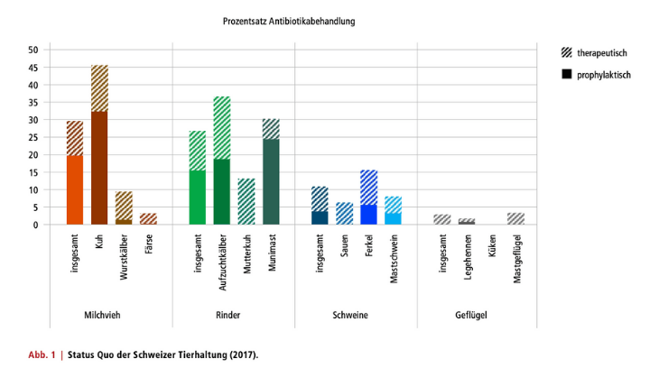 Lieber eine Prämie als Expertenbesuch zur Antibiotika-Reduktion