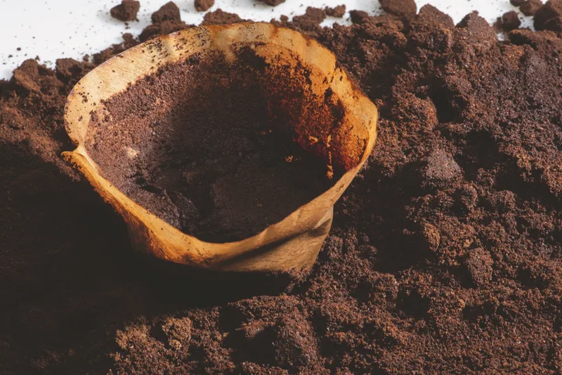 Hände, die nach Gülle stinken, zuerst mit Kaffeesatz einreiben und dann mit Seife waschen. Bild: Adobe Stock