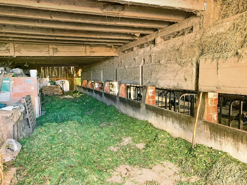 Der alte Milchviehstall auf dem Betrieb Oberfluh vor dem Umbau.