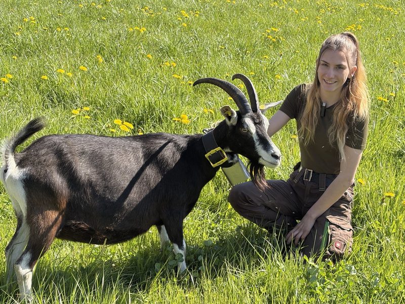 Marina Schlegel macht sich als Farmfluencerin für die Landwirtschaft stark