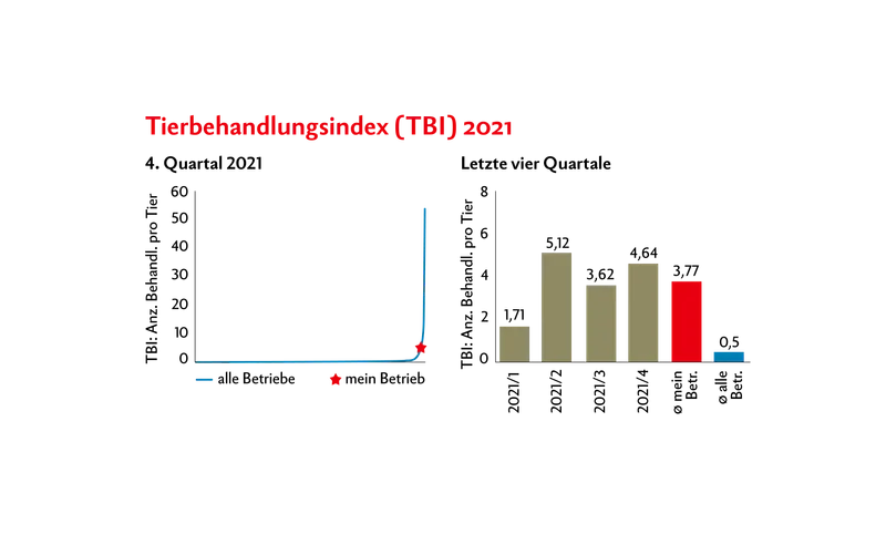 Die Statistik der Schweine-Gesundheit