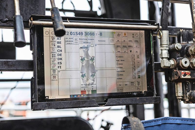 So führt Michael Suter die Klauenpflege durch: Handwerk trifft Routine