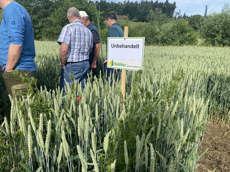 Was taugt das neue Herbizid Cerelex?