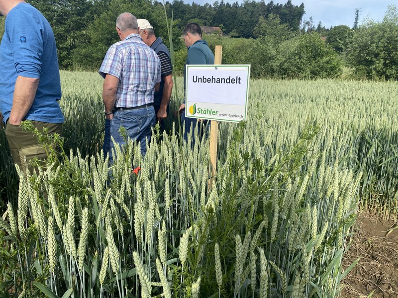 Was taugt das neue Herbizid Cerelex?