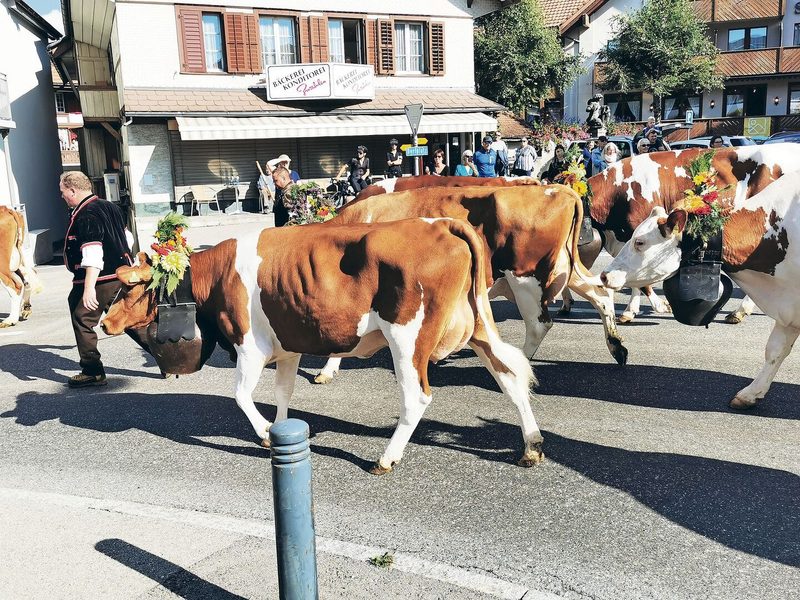 Mit der Abzüglete durchs Dorf begeisterten die Züchter die Bevölkerung.
