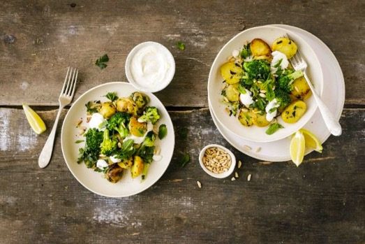 Kartoffeln: Jetzt wird geerntet