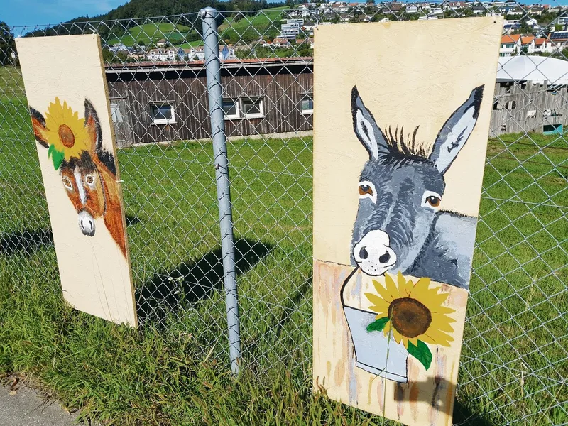 Das Eselgehege ist mit passenden, selbstgemalten Bildern geschmückt.