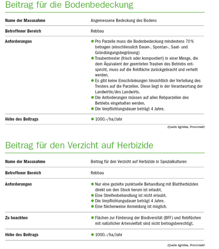 Ab 2023 gibt es neue Beiträge für den Rebbau