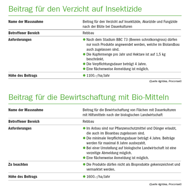 Ab 2023 gibt es neue Beiträge für den Rebbau