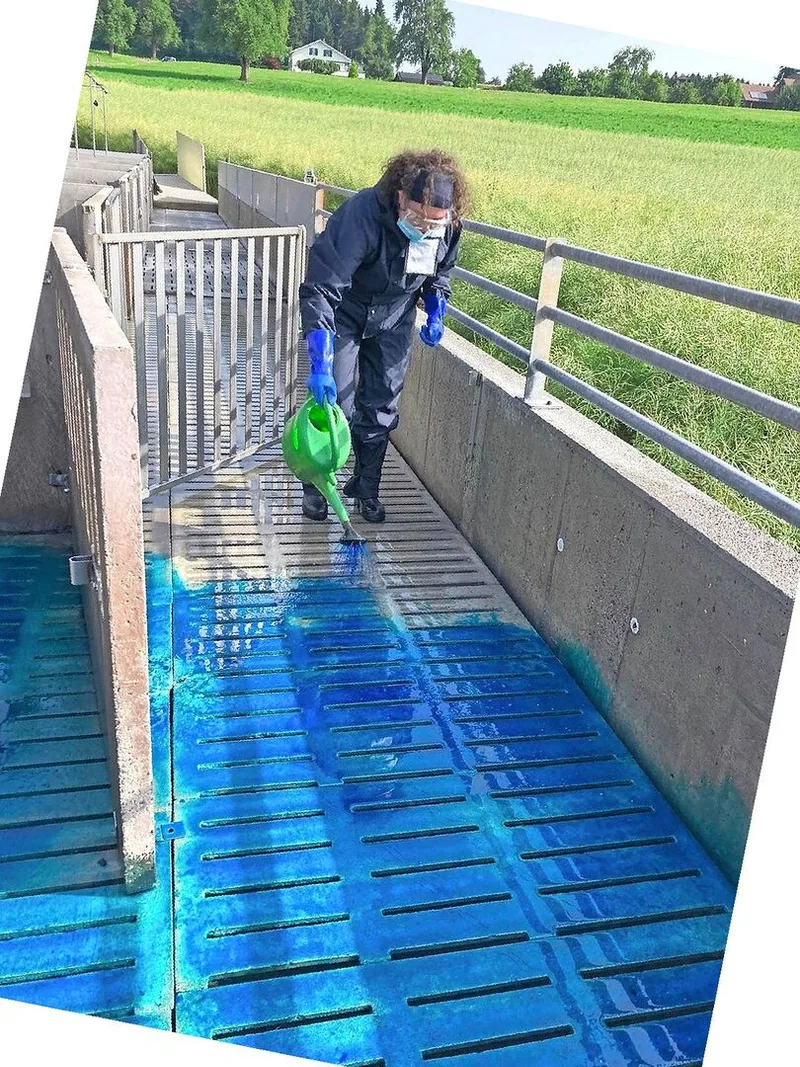 Die (Alzogur-)Desinfektion von Stall und Restgülle ist essenzieller Bestandteil der Brachyspiren-Sanierung, reicht aber als isolierte Massnahme nicht aus.