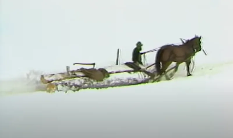 Beim Holzführen mit Pferden war höchste Vorsicht geboten