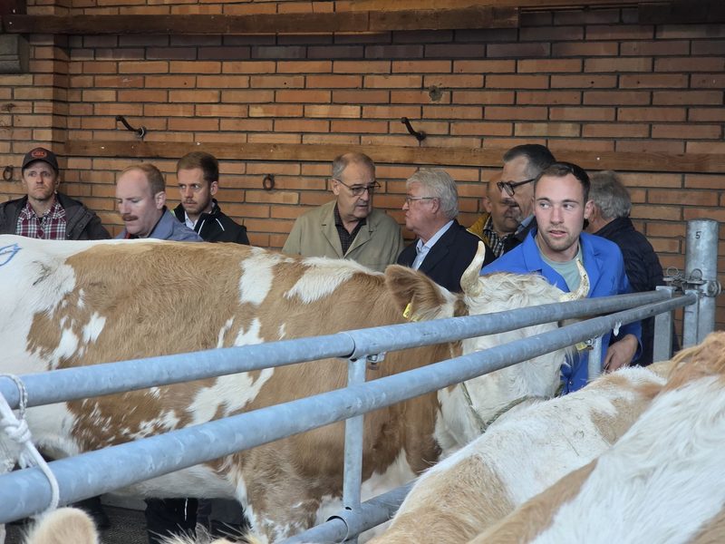 Bundesrat Guy Parmelin besucht den Schlachtviehmarkt in Thun