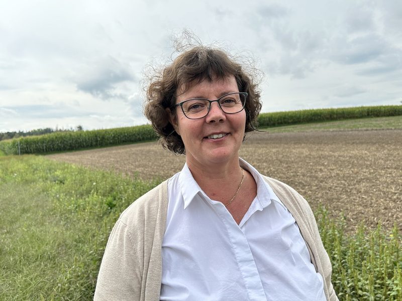 3.5% Acker-BFF mit Fallstricken