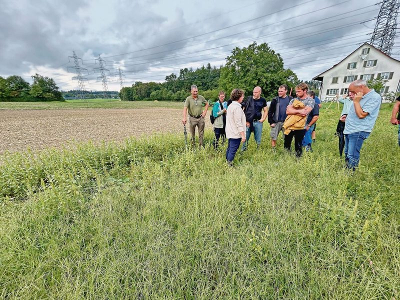 Strickhof-Beraterin Barbara Stäheli (l. mit weisser Bluse) bringt den Teilnehmern die Vorzüge von Saum auf Acker näher.