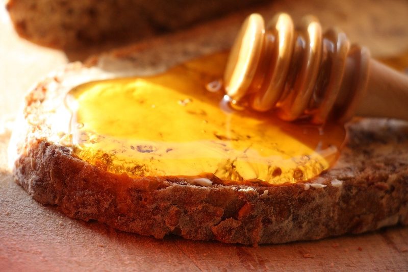 Wildbienen: Wer sie sind und was sie brauchen