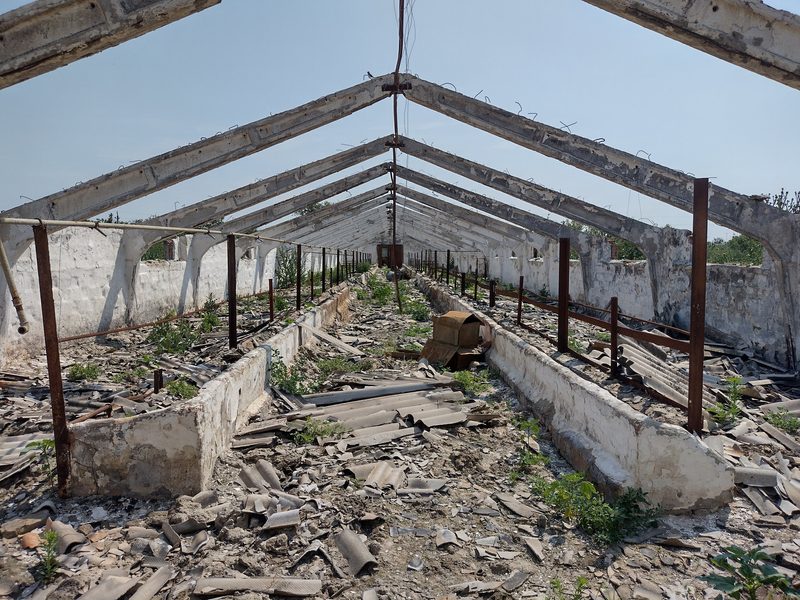 «Wenige Tage nach der Invasion war die Ernte verbrannt»