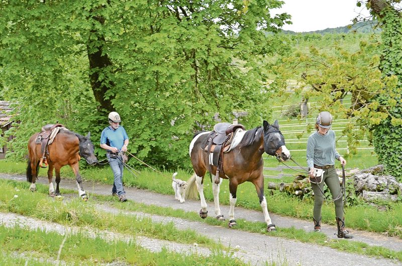 Die Landwirtin ist für den Betriebszweig «Pensionspferde» verantwortlich.
