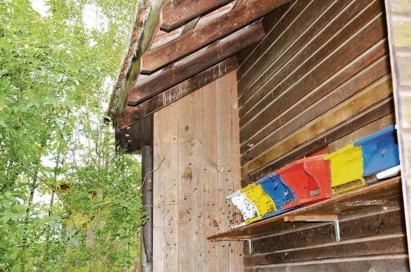 Das Bienenhaus ist wichtig für die Bestäubung der vielen Obstbäume auf dem Hof.