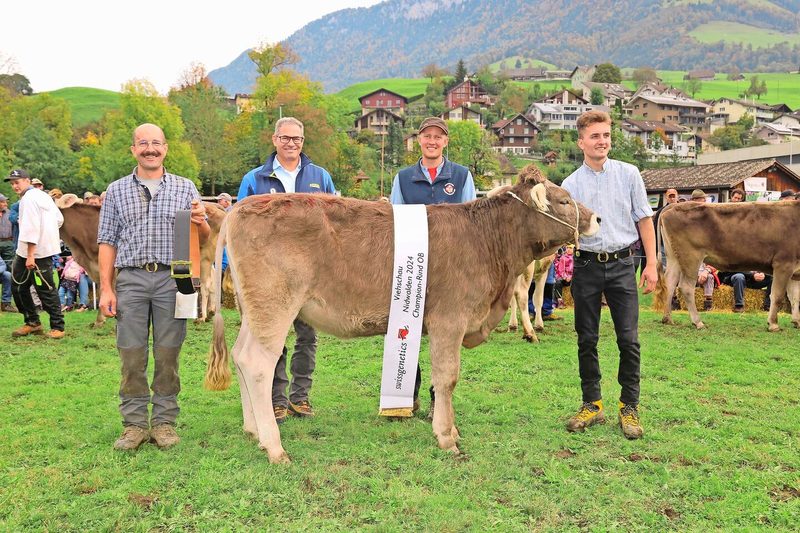 Das schönste OB-Rind war die ausbalancierte Orbiter-Tochter Oraika von Peter Huser, Ennetbürgen.