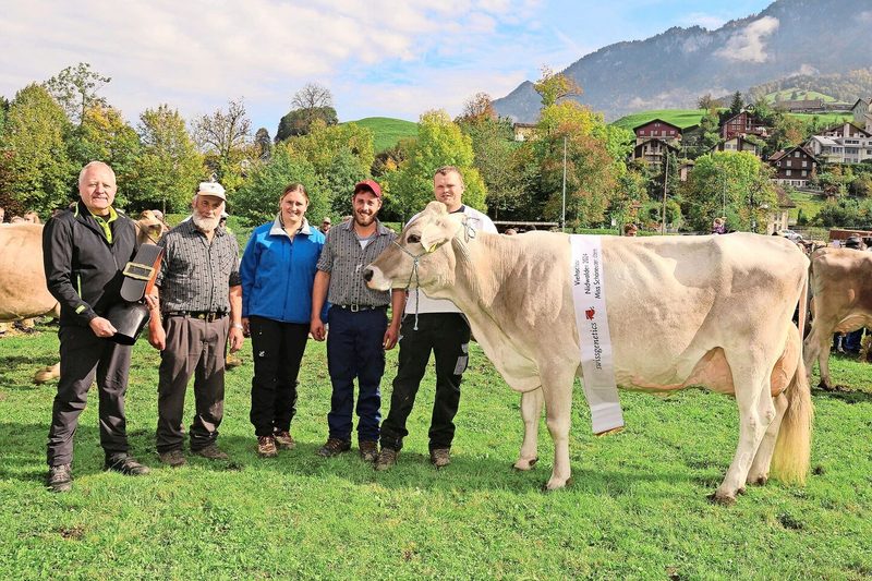 Tagessiegerin BS und Schöneutersiegerin ältere: Braunviehkuh Brawa von Patrick Risi, Buochs, überzeugte.